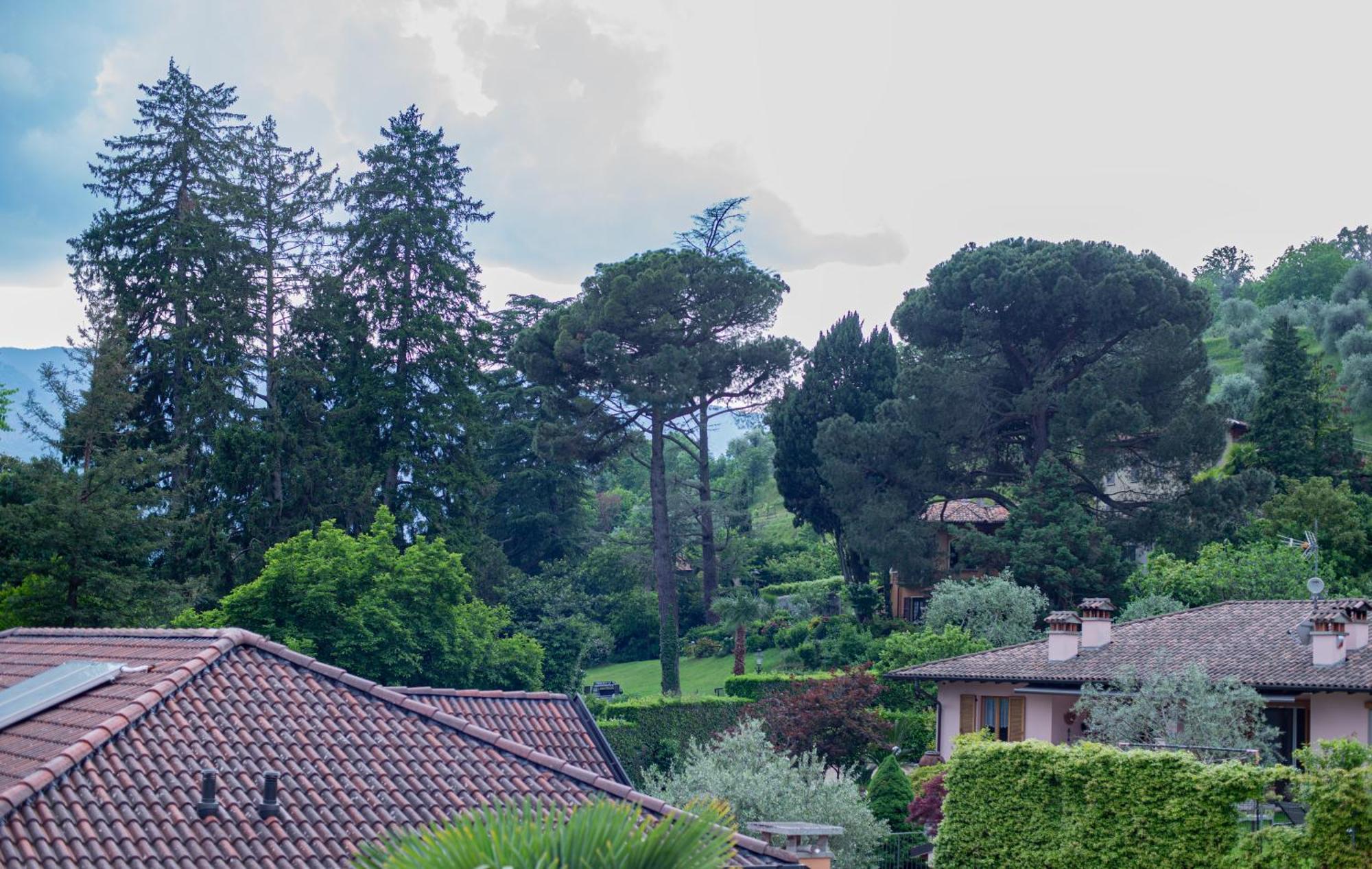 Serene Garden Getaway Cadenabbia エクステリア 写真